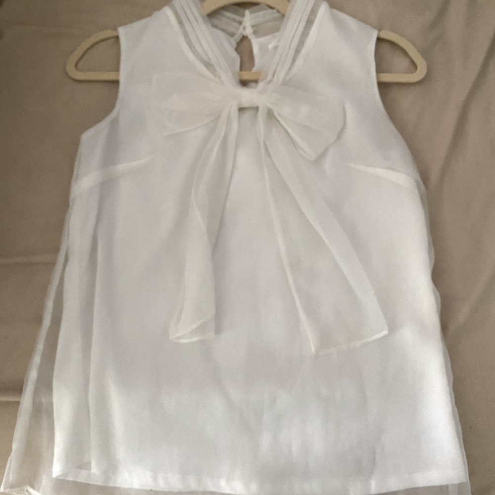NWOT Chicwish Size XS sheer, lined top with bow detail.